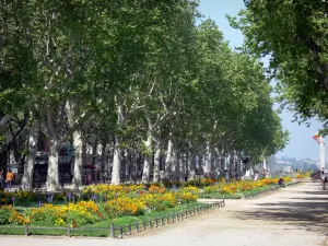 Montpellier - Promenade camas de flores y plátanos (árboles) de la Esplanade Charles de Gaulle