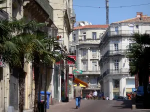 Montpellier - Palm trees, shops and buildings of the city