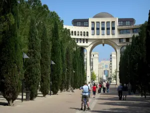 Montpellier - Antigone district: Millennium square with its walk and its cypress, buildings