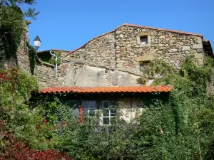 Montpeyroux - Casa di pietra circondato da una vegetazione