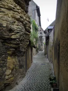 Montrésor - Narrow street of the village lined with houses