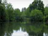 Montrésor - Pasarela sobre el río (Indrois) y los árboles a la orilla del agua