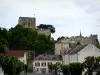 Montrichard - Donjon dominant les maisons de la ville et les arbres