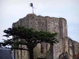 Montrichard - Torre quadrata e l'albero