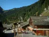 Montriond - Chalets de madera en el pueblo (estación de esquí), terraza cafetería y el bosque en el Haut-Blanc