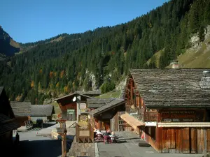 Montriond - Chalets aus Holz des Dorfes (Wintersportort), Kaffeeterrasse und Wald, im Haut-Chablais