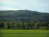 Monts de Blond - Heuvel bedekt met bomen (bos) met uitzicht op een weiland en een veld