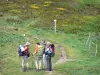 Monts du Cantal - Parc Naturel Régional des Volcans d'Auvergne : randonneurs sur un sentier balisé