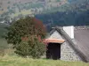 Monts du Forez - Jasserie (cabane d'estive) du Grand Genévrier ; dans le Parc Naturel Régional Livradois-Forez