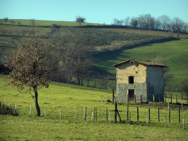 Monts du Lyonnais - Pâturages, cabane et arbres