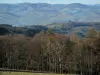 Monts du Lyonnais - Du col de la Luère, vue sur les arbres (forêt) et les collines environnantes