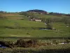 Monts du Lyonnais - Pâturages et maisons