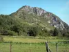 Montségur castle - View of the rocky outcrop (pog) on top of which lie the remains of the Cathar fortress; trees and pastures below