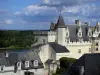 Montsoreau - Castello Montsoreau Rinascimento, tetti delle case, del Fiume Loira, alberi lungo l'acqua, le nuvole nel cielo, nella Valle della Loira