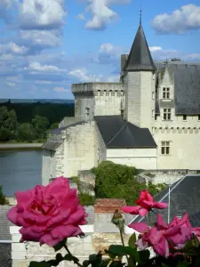 Montsoreau - Roses (rosier) en premier plan avec vue sur le château de Montsoreau de style Renaissance, le fleuve Loire et les arbres, nuages dans le ciel ; en Val de Loire