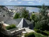 Montsoreau - Blick auf die Dächer der Dorfhäuser, den Fluss Loire und die Bäume;
im Loiretal