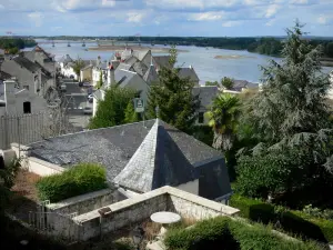 Montsoreau - Vue sur les toits de maisons du village, le fleuve Loire et les arbres ; en Val de Loire