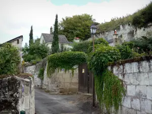 Montsoreau - Ruelle du village bordée de maisons