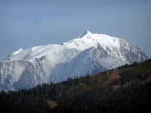 Montte Bianco - Boschi di pini e Montte Bianco massiccia