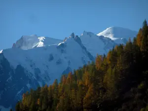 Montte Bianco - Col des Montets, vista su alberi con colori autunnali e la ripida Montte Bianco