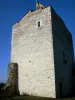 Morestel - Tour médiévale (ancien donjon, vestige de l'ancien château) abritant des expositions d'art