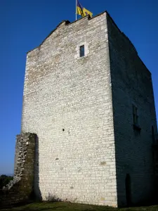 Morestel - Middeleeuwse toren (voormalig kerker, een overblijfsel van het oude kasteel) hosting kunsttentoonstellingen
