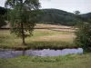 Morvan - Regionaler Naturpark des Morvan: Fluss gesäumt von Weideland, Bäume und Wald im Hintergrund