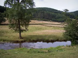 Morvan - Morvan Regional Nature Park: river lined with meadows, trees and forest in background