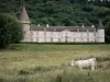 Morvan Regional Nature Park - Bazoches castle (former residence of Marshal Vauban), greenery, and Charolais cows in a meadow