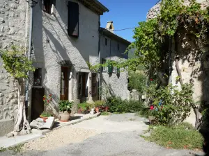 La Motte-Chalancon - Roanne valley, in the Baronnies Provençales Regional Nature Park: narrow street lined with typical houses