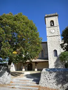 La Motte-Chalancon - Roanne valley, in the Baronnies Provençales Regional Nature Park: bell tower of the Notre-Dame church