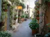 Mougins - Flower-bedecked narrow street