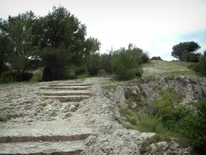 Moulin de Daudet - Chemin menant au moulin