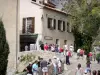 Moustiers-Sainte-Marie - Bridge and house of the village