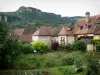 Mouthier-Haute-Pierre - Jardin potager, maisons, arbres et parois rocheuses