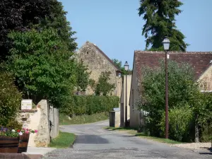 Moutiers-au-Perche - Rue du village bordée de maisons