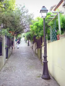 Mouzaïa district - Paved street dotted with lampposts