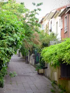 Mouzaïa district - Paved alley lined with vegetation and small houses