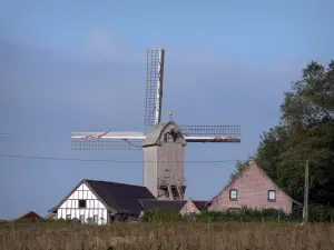 Mühlen von Flandern - Mühle Roome (Windmühle aus Holz), in Terdeghem