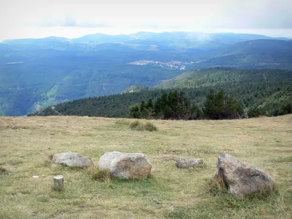 Mulino Aigoual - Dal Monte Aigoual, si affaccia sui paesaggi forestali circostanti; in Aigoual nel Parco Nazionale delle Cévennes (monti Cevennes)