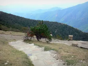 Mulino Aigoual - Dal Monte Aigoual, con vista sulla campagna boscosa intorno; in Aigoual nel Parco Nazionale delle Cévennes (monti Cevennes)