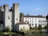 Mulino di Barbaste - Mulino fortificato di Enrico IV (Mill Towers) lungo il fiume Gélise