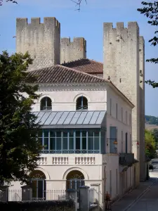 Mulino di Barbaste - Mostra delle quattro torri del mulino fortificato di Enrico IV (Mill Towers)