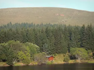 Mulino di Cézallier - Montagna, foresta, alberi e chalet in legno nei pressi di un lago, nel Parco Naturale Regionale dei Vulcani d'Alvernia