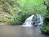 Murel waterfalls - Waterfall in green nature
