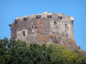 Murol castle - Tower of the fortress; in the Auvergne Volcanic Regional Nature Park, in the Monts Dore mountain area 