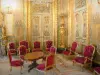 Musée du Louvre - Aile Richelieu - Appartements Napoléon III : grand salon