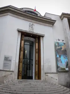 Museo de Arte Moderno de la ciudad de París - Entrada al Museo de Arte Moderno