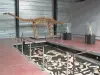 El museo de los Dinosaurios de Espéraza - Guía turismo, vacaciones y fines de semana en Aude