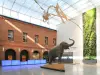 O museu de Toulouse - Guia de Turismo, férias & final de semana no Alto Garona
